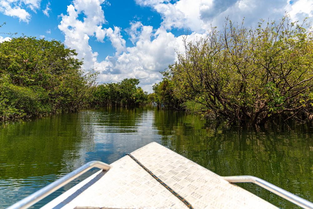 Rio Arapiuns (Divulgação)