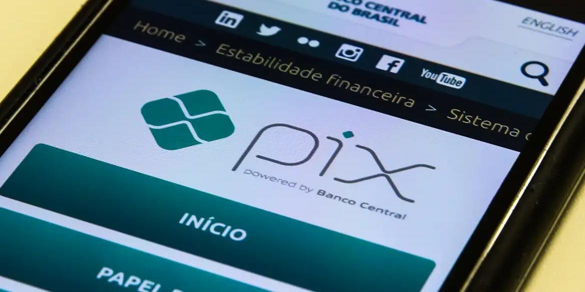 Criado em novembro de 2020, o Pix acumulou, no fim de junho, 165,8 milhões de usuários, conforme as estatísticas mensais mais recentes (Marcello Casal / Agência Brasil)