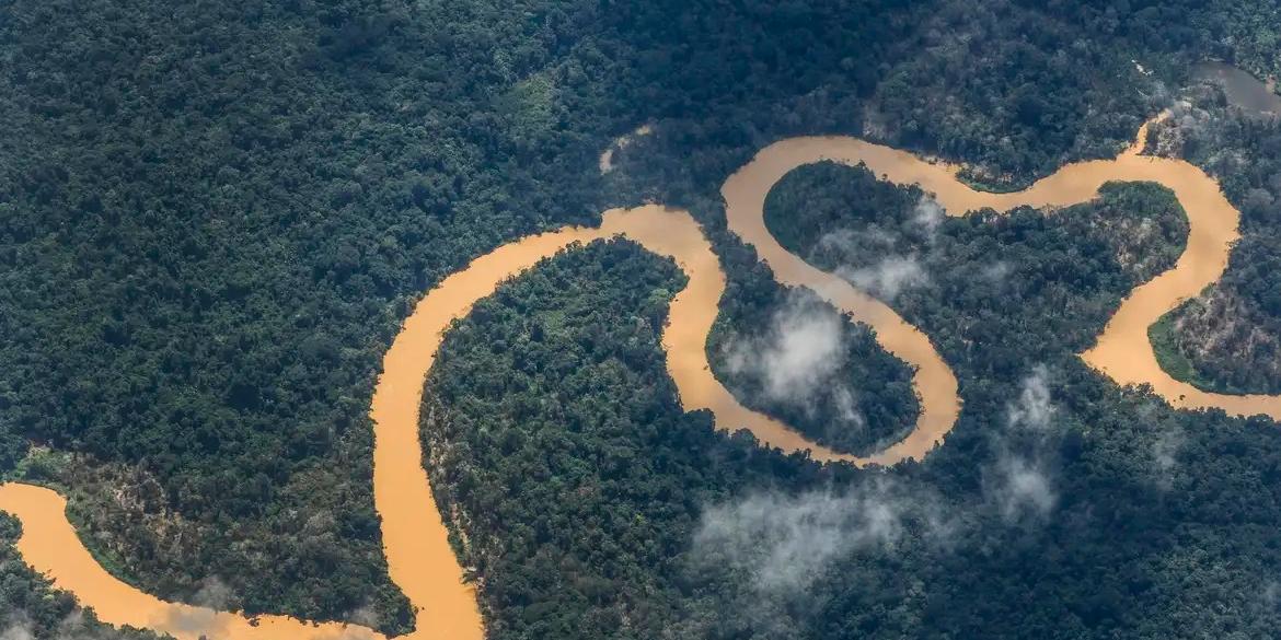 Militares atuarão no combate ao garimpo ilegal (Fernando Frazão / Agência Brasil)