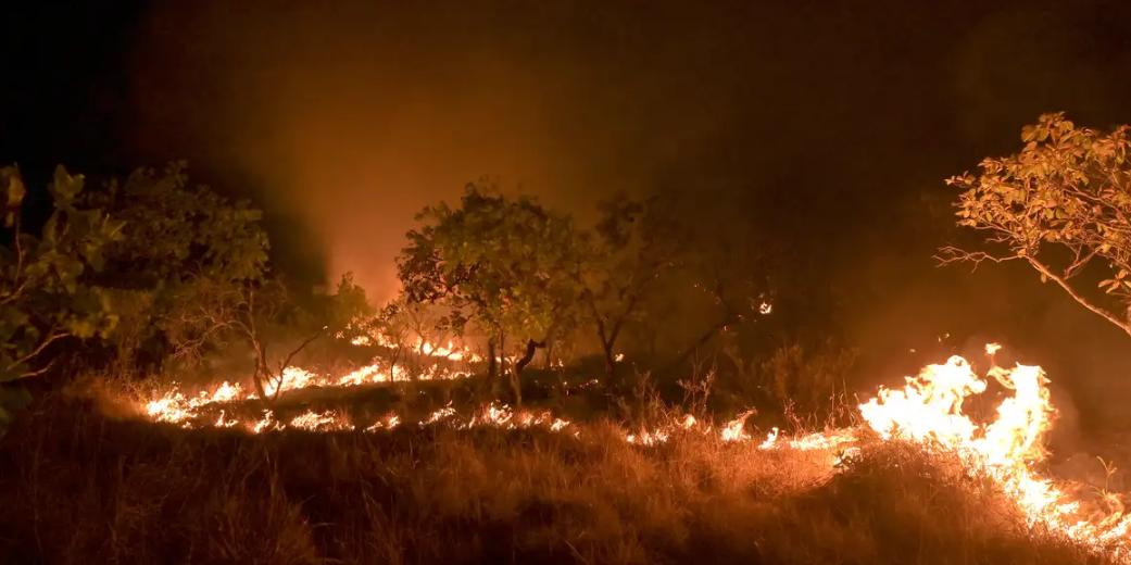 Uma das piores situações está em Roraima, que concentra mais da metade dos registros do bioma (Jader Souza / AL Roraima)