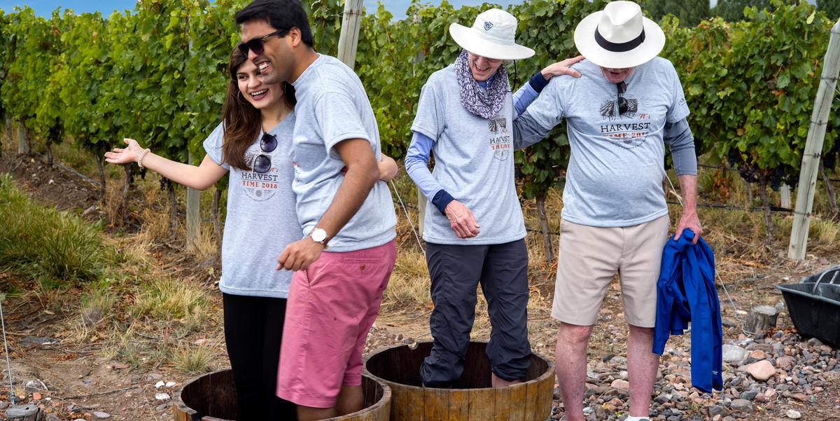 Se os vinhos argentinos são as opções que o turista mais deseja degustar, ele deve conhecer a colheita das uvas no hotel Casa de Uco (Divulgação / Casa de Uco)