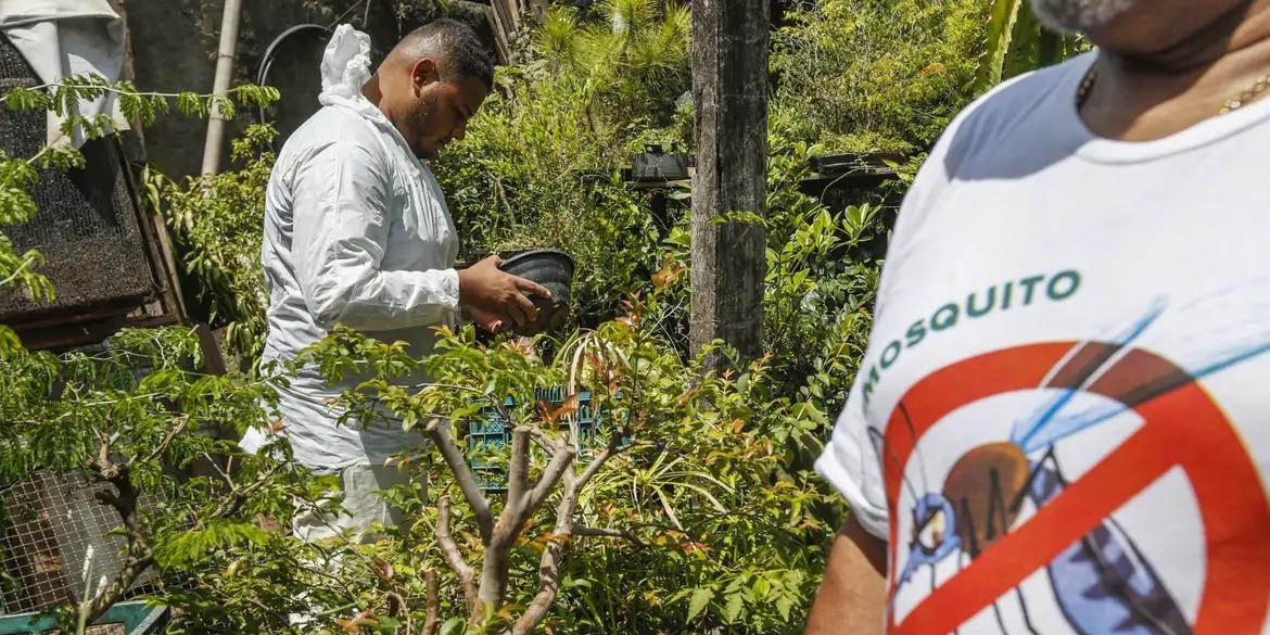 Apesar do cenário epidemiológico favorável, combate ao mosquito continua (Paulo Pinto / Agência Brasil)