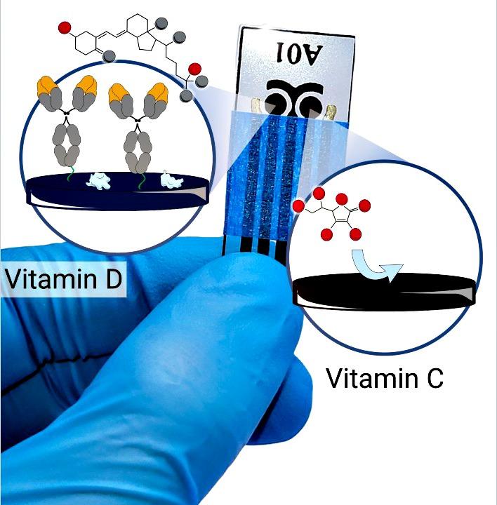 O dispositivo incorpora dois sensores distintos, que utilizam corrente elétrica para detectar cada uma das substâncias (MARTINS, Thiago S. et al./ ACS Applied Nano Materials/ Reprodução da Agência Fapesp)