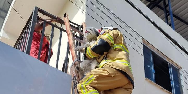 Segundo os Bombeiros, o segundo andar do imóvel estava em chamas, com muita fumaça saindo pelas janelas (Bombeiros/Divulgação)