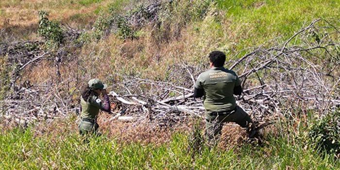 Foram constatados 3,5 mil hectares de vegetação suprimidos de forma ilegal (Divulgação / Semad)