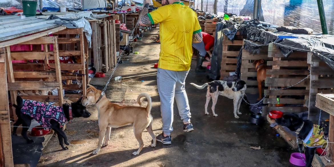 Abrigo em Canoas salvou 2,7 mil pets e depende de doações para projeto (Rafa Neddermeyer/Agência Brasil)