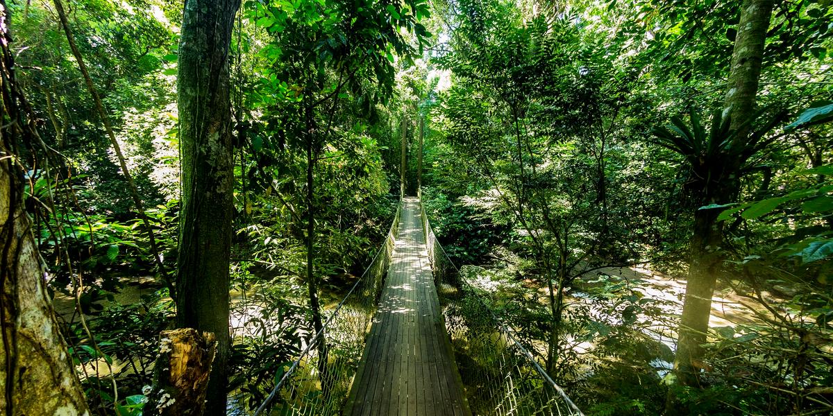 Cachoeira do Gato: diversidade de ambientes no Litoral Norte de São Paulo permite uma ampla gama de atividades de ecoturismo. (Divulgação / Litoral Norte de SP)