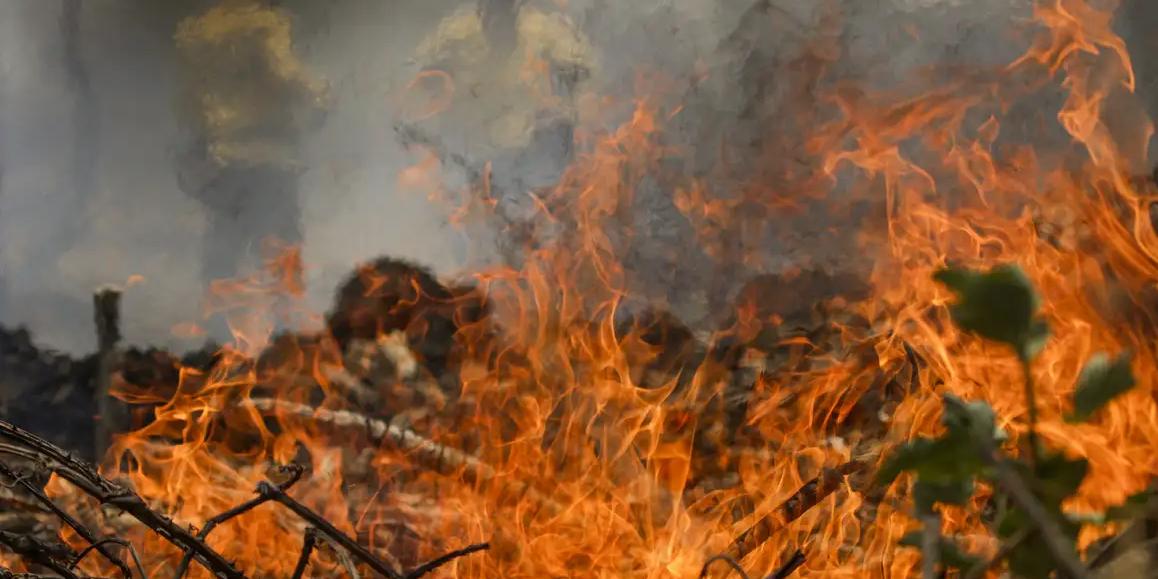 Dado inclui incêndios naturais e causados pelo homem (Joédson Alves/Agência Brasil)