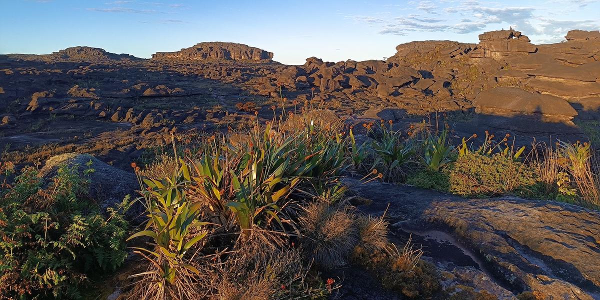 Monte Roraima é uma das montanhas mais antigas do mundo e possui o cume mais extenso do planeta, com 34 km² (Divulgação / Monte Roraima)