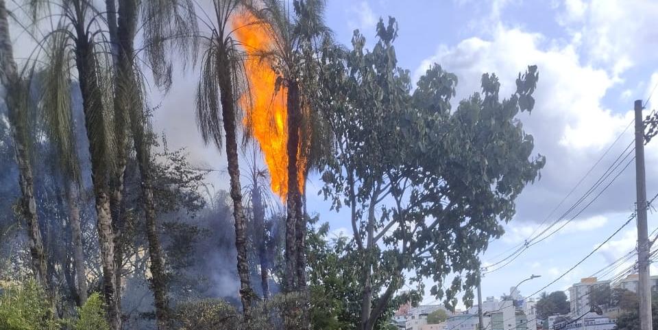 Bombeiros combatem incêndio em Mata próximo ao Mineirão (Divulgação / Corpo de Bombeiros)