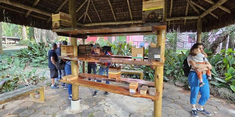 Recentemente, foi inaugurado o espaço do meliponário, destinado à criação e cultivo de abelhas sem ferrão (Divulgação / UFMG)