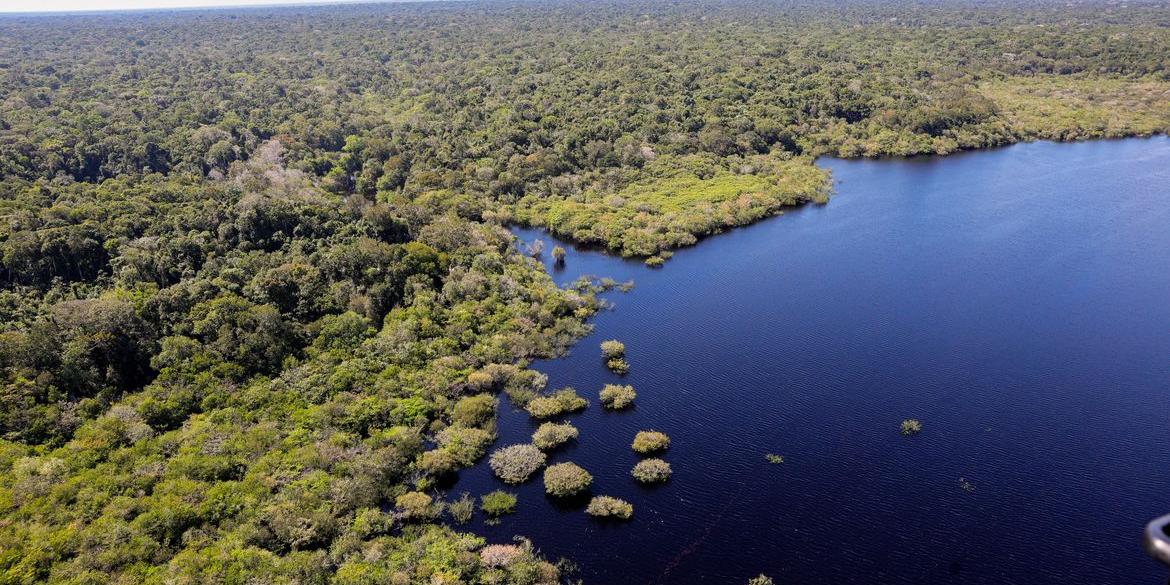 Instituição será um dos legados da COP30 em 2025 (Fabio Rodrigues Pozzebom/Agência Brasil)