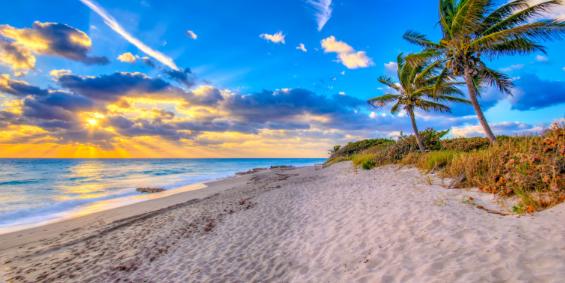 Praia de Red Reef, localizada em Boca Raton, é um dos destinos mais encantadores da região para quem busca relaxamento e beleza natural (Divulgação / Palm Beaches)