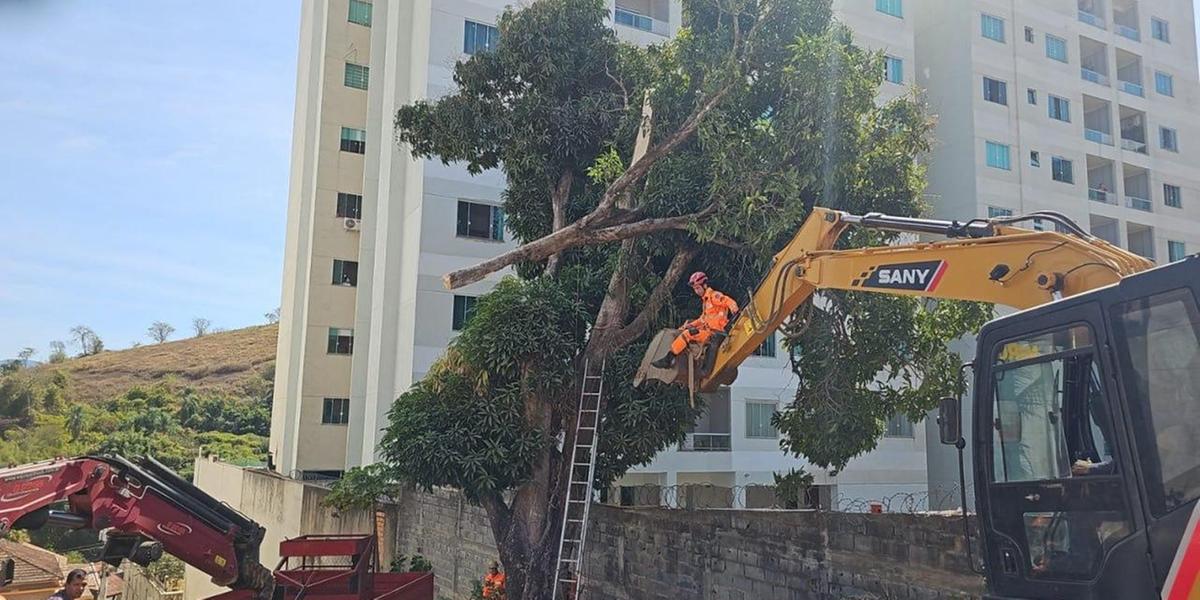 Homem acabou ficando com o tórax preso por um dos galhos (Corpo de Bombeiros / Hoje em Dia)