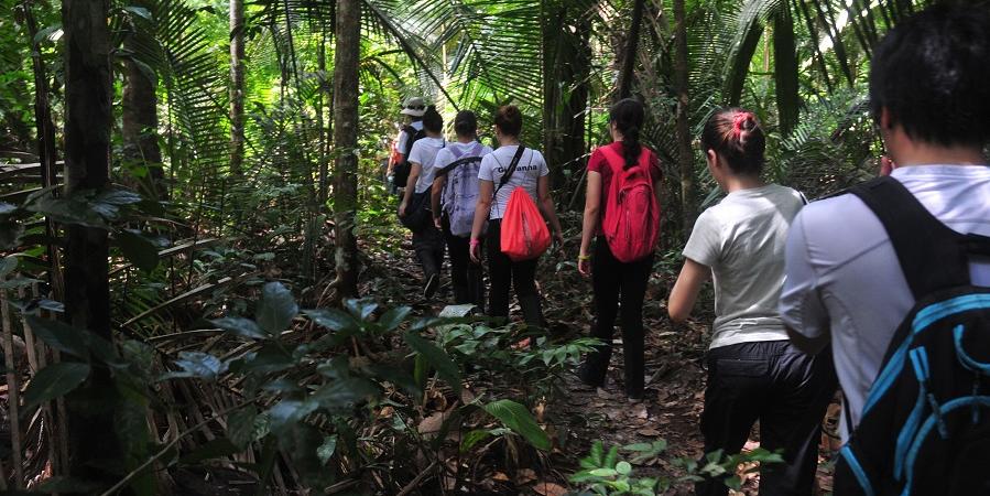 Juma Amazon Lodge tem parceria com a empresa Amazon Tree Climbing, especializada em escaladas recreativas (Divulgação / Juma Amazon Lodge)