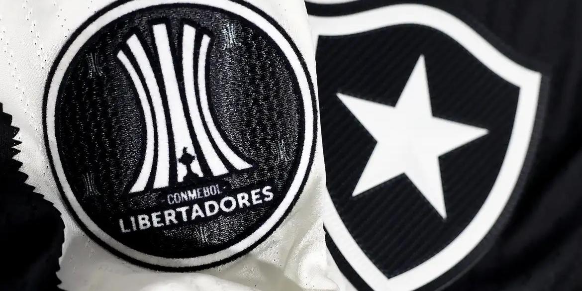 Botafogo irá banir torcedor que cometeu racismo contra Palmeiras (Vitor Silva /Botafogo)