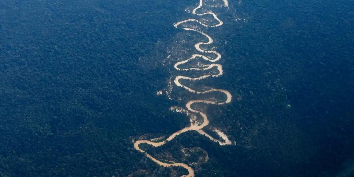 Áreas de garimpo ilegal na Terra Indígena Yanomami vistas em sobrevoo ao longo do rio Mucajaí (Fernando Frazão/Agência Brasil)