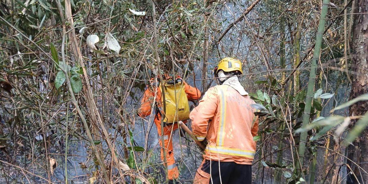 Por volta de 7h45, guarnição dos bombeiros foi acionada para reignição na mata do Morro do Cristo, um local de difícil acesso para às guarnições (Divulgação / CBMMG)