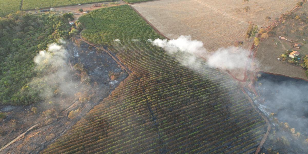 Desafio fica maior entre os meses de julho a outubro, período considerado crítico para incêndios, quando a umidade do ar fica em níveis críticos, abaixo de 60% (Divulgação / CBMMG)