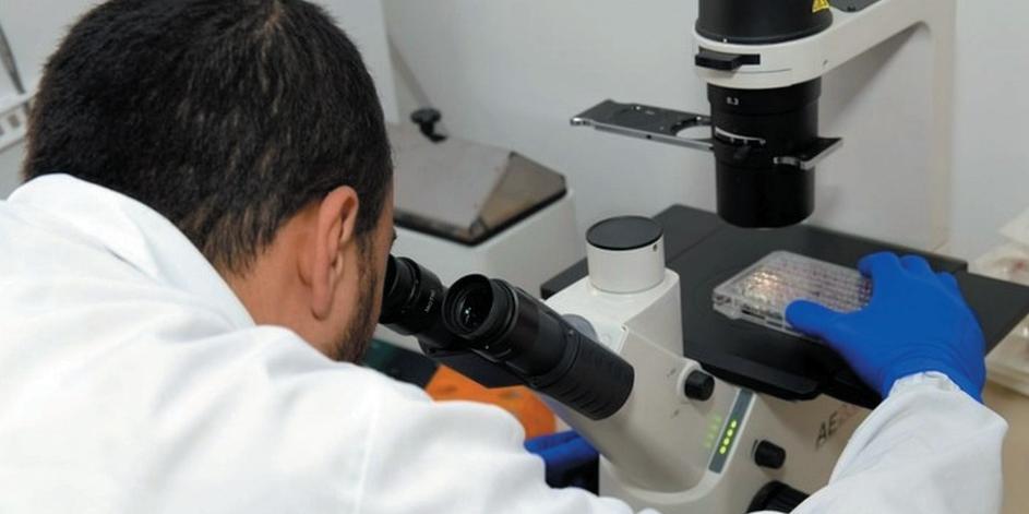 Trabalho é feito pela equipe do Departamento de Fisiologia e Farmacologia do Instituto de Ciências Biológicas da UFMG (Jebs Lima/ UFMG)