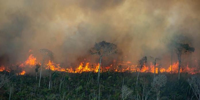 Amazônia tem 2,5 milhões de hectares queimados em agosto (Arquivo / Christian Braga/Greenpeace)