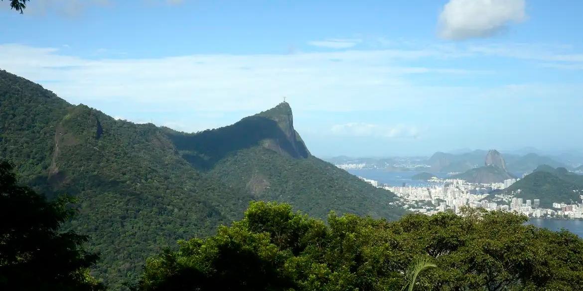 Vista da mata atlântica na Floresta da Tijuca, no Rio de Janeiro (Tomaz Silva/Agência Brasil)