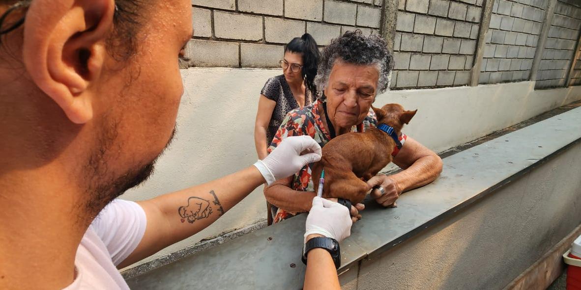 Centro de esterilização de cães e gatos no bairro João Pinheiro, região Noroeste de BH, aberto neste sábado para vacinar os pets (Maurício Vieira / Hoje em Dia)