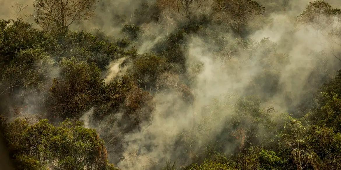 Imagens aéreas mostram áreas devastadas pelo fogo no Pantanal (Marcelo Camargo/Agência Brasil)