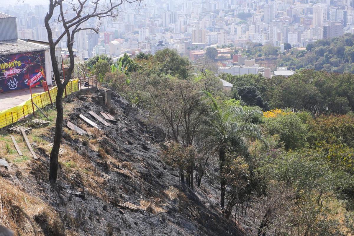 Incêndio destrói vegetação na região Centro-Sul de Belo Horizonte (Fernando Michel/ Hoje em Dia)