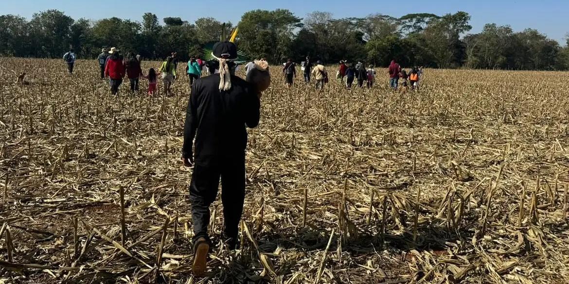 Missão do Ministério dos Povos Indígenas e a Força Nacional de Segurança Pública de ampliação do efetivo de segurança para a proteção dos indígenas Guarani Kaiowá (Eloy Terena/Instagram)