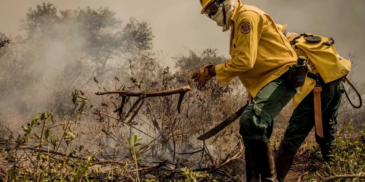 Vários queimadas têm atingido o Pantanal nos últimos dias (Christiano Antonucci /Secom - MT)