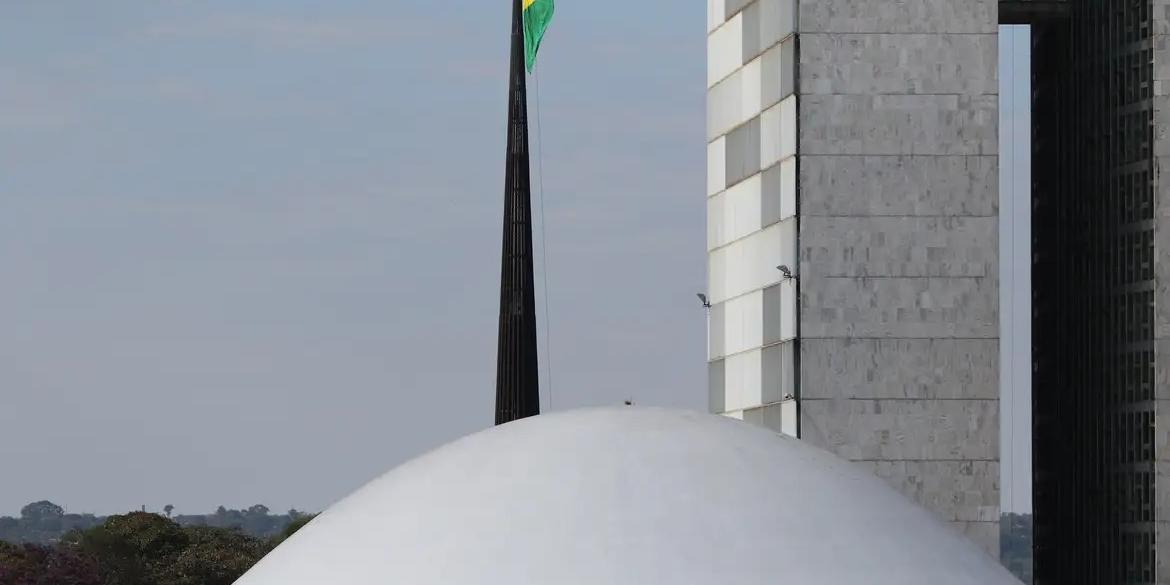 Palácio do Congresso Nacional na Esplanada dos Ministérios em Brasília (Fabio Rodrigues Pozzebom/Agência Brasil/Arquivo)