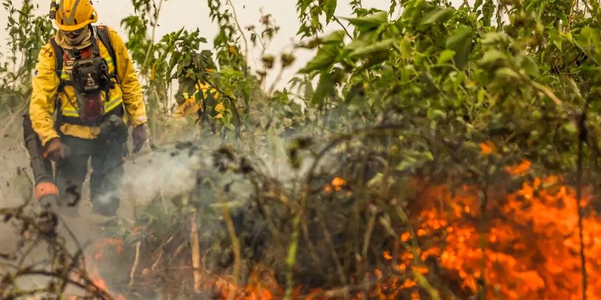 Com o auxílio de aviões, brigadistas do Prevfogo/Ibama combatem incêndios florestais no Pantanal (Marcelo Camargo/Agência Brasil)