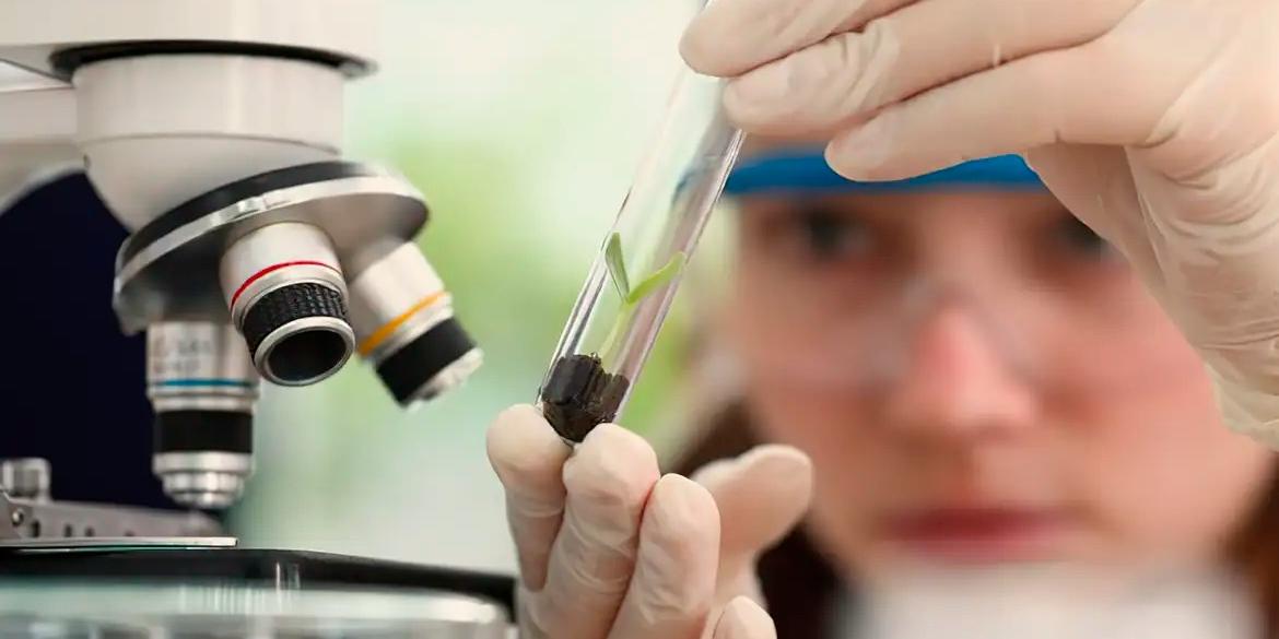 Meninas cientistas (USP/Divulgação© USP/Divulgação)