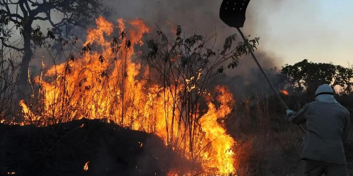 Incêndios florestais no DF (Arquivo/Valter Campanato/Agência Brasil)