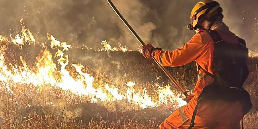 Incêndio em vegetação na zona rural de Pedra do Anta, na segunda-feira (2), causou duas mortes (Divulgação / CBMMG)