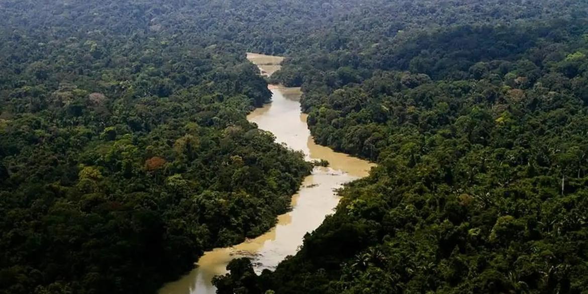 El parque ambiental de Jamanxim es un santuario ecológico de 1.300 hectáreas donde viven especies autóctonas de la Amazonia (Leonardo Milano/ICMBio)