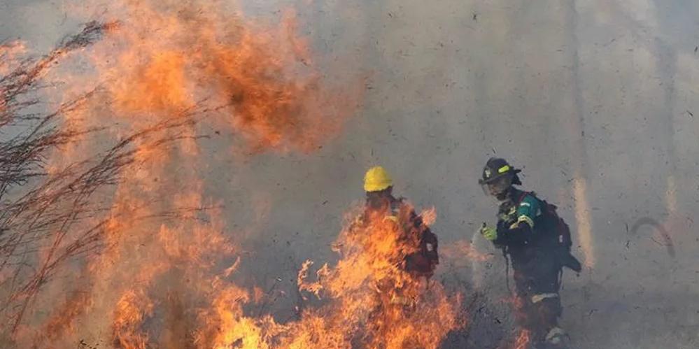 Bombeiros combatem o fogo em Robore, na província de Santa Cruz, na Bolívia (Divulgação/Ministério Defesa Bolívia)