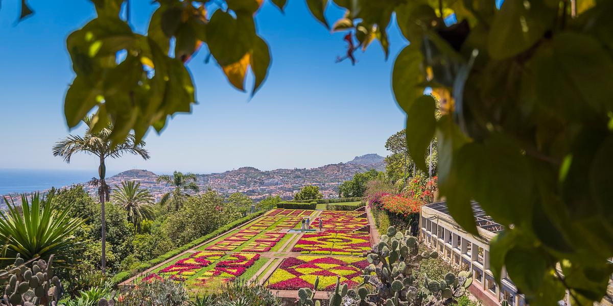 Jardim Botânico (Francisco Correia)