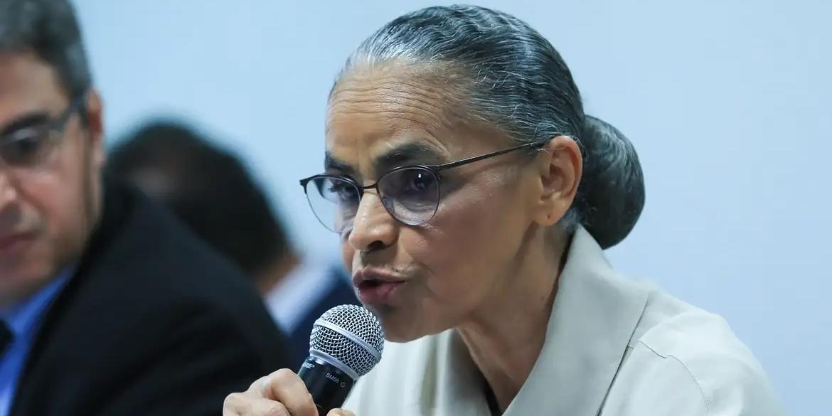 Ministra Marina Silva fala na CMA do Senado sobre queimadas no Brasil (Lula Marques/ Agência Brasil)