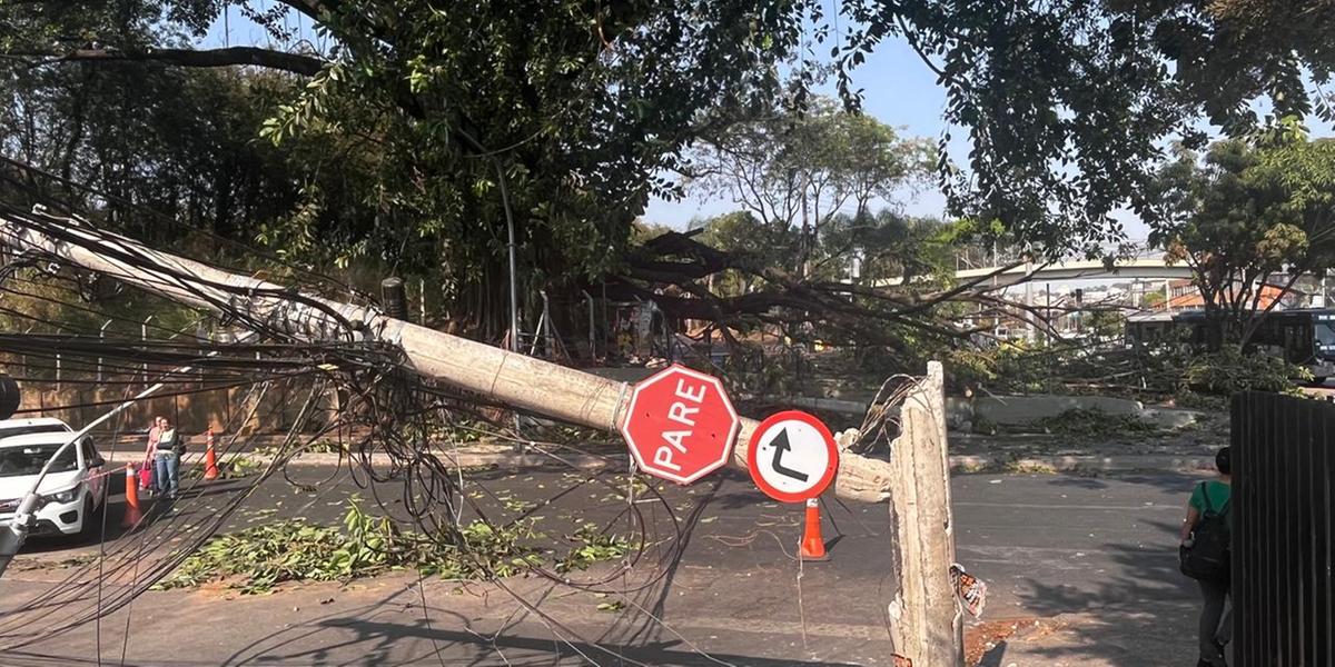 Queda de postes complica trânsito no bairro Gameleira, em BH (Fernando Michel/ Hoje em Dia)