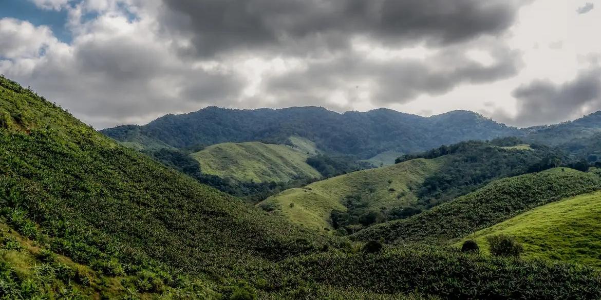  (Rafa Neddermeyer/Agência Brasil)