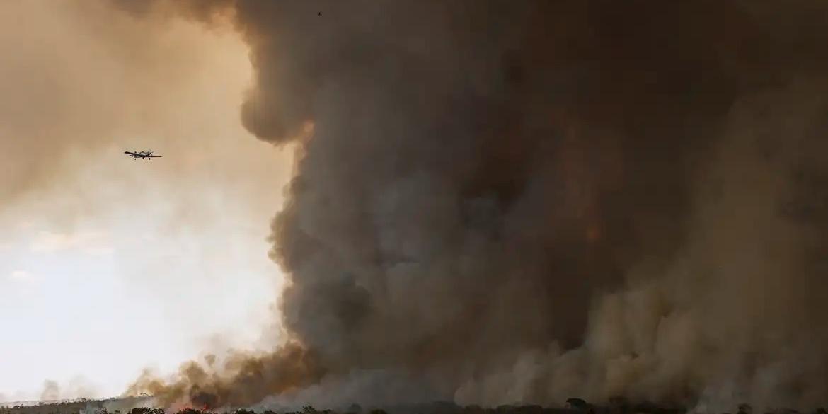 Grandes focos de incêndio atingem áreas do Parque Nacional de Brasília (Marcelo Camargo/Agência Brasil)