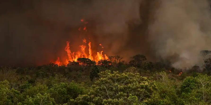 Barroso disse que tem informações técnicas que confirmam que todas as queimadas na Amazônia e no Pantanal são provocadas pela ação humana (Marcelo Camargo / Agência Brasil)