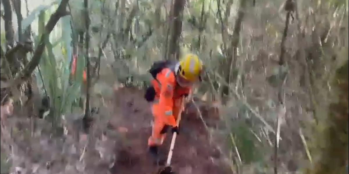 Militares trabalham para conter linha de fogo na Serra do Brigadeiro (Divulgação/ CBMMG)