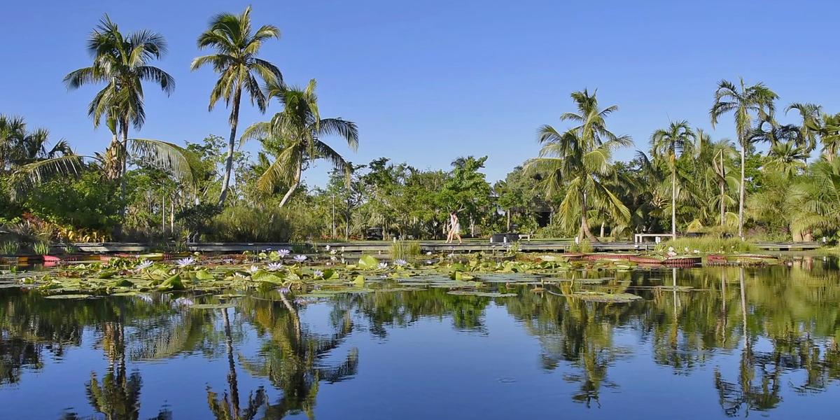 Naples Botanical Gardens (Divulgação)