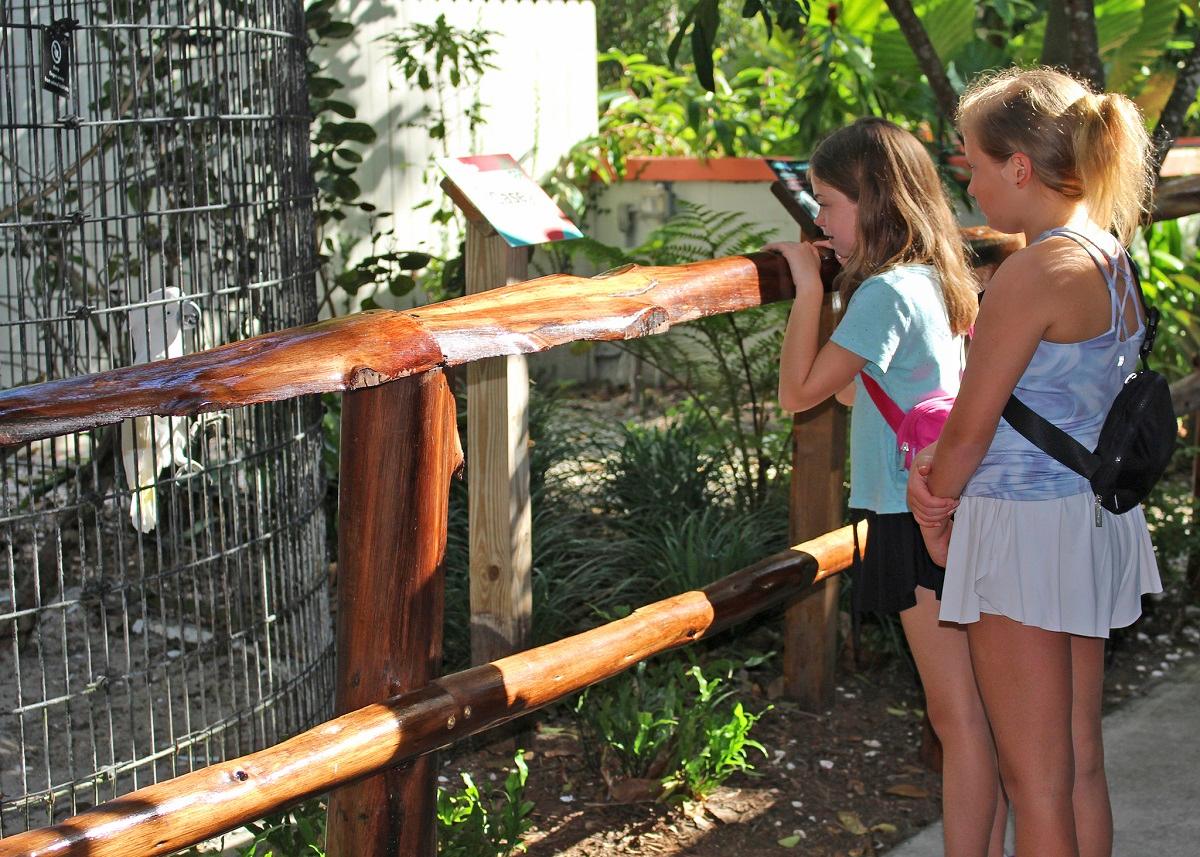 Wonder Gardens, Bonita Springs (Divulgação)