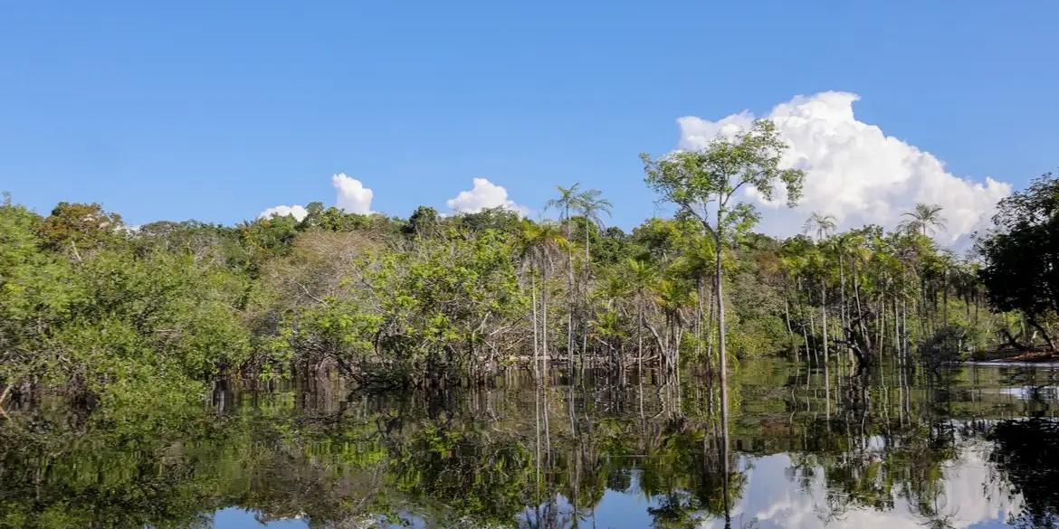 Rio Negro (FABIO RODRIGUES-POZZEBOM/ AGÊNCIA BRASIL)