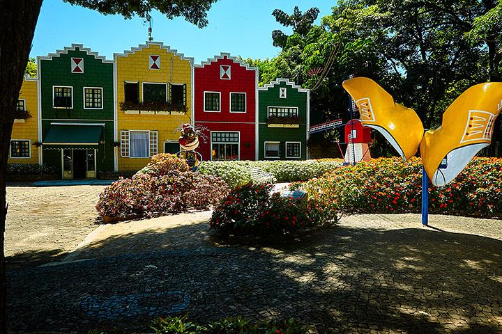 Campinas Holambra (Ken Chu - expressão studio)