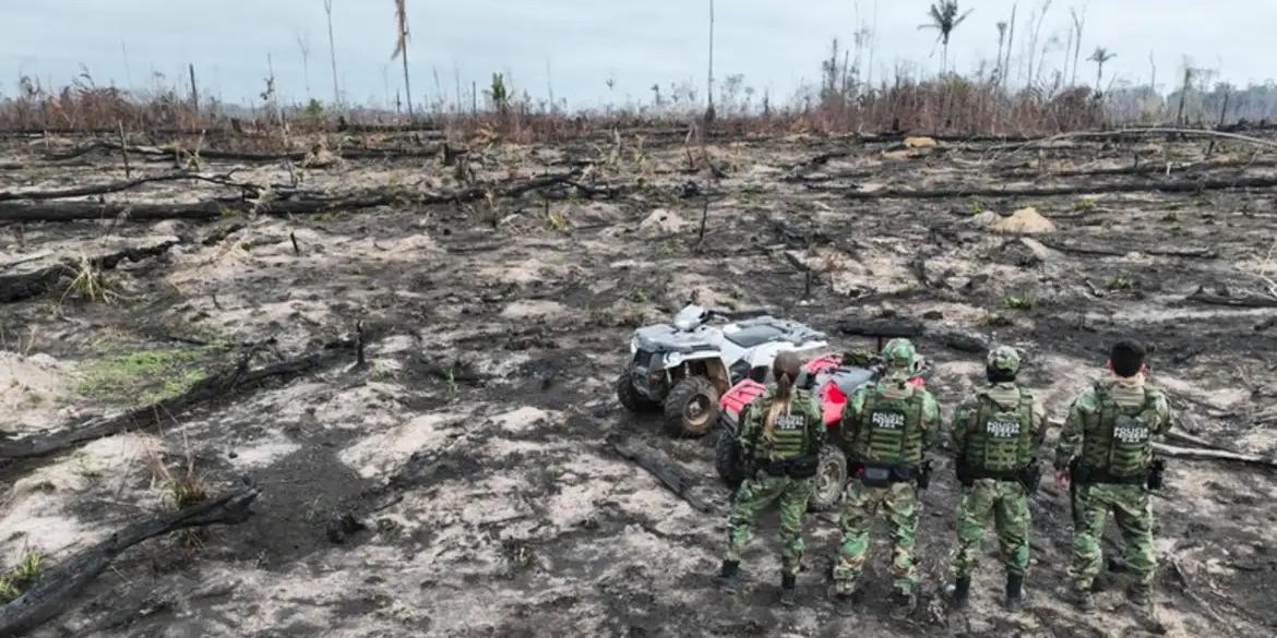 Durante a Operação Smoke (fumaça em inglês), foram apreendidas 1,1 mil cabeças de gado, um veículo automotor e duas armas de fogo (POLÍCIA FEDERAL/DIVULGAÇÃO)